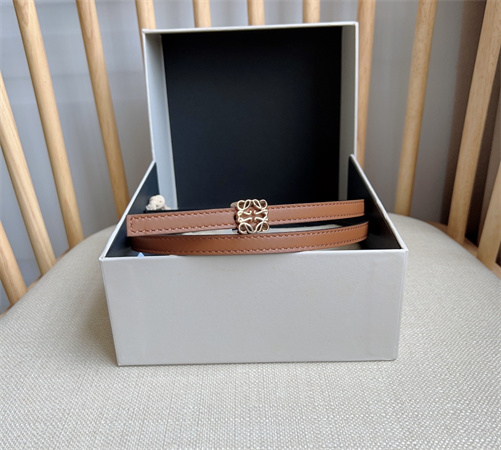 Loewe Belt In Calfskin 10MM Gold Hardware Brown/Black