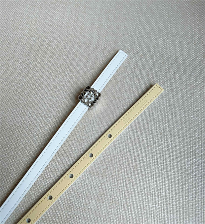 Loewe Belt In Calfskin 10MM Silver Hardware White