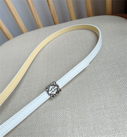 Loewe Belt In Calfskin 10MM Silver Hardware White
