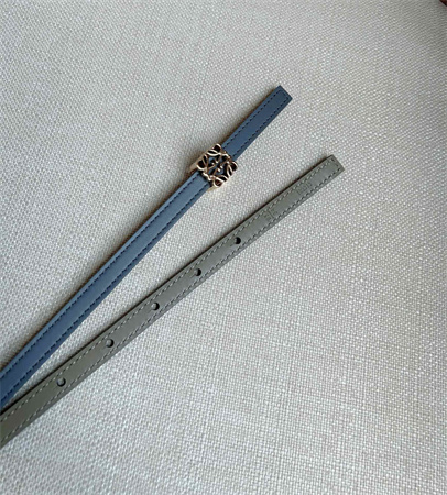 Loewe Belt In Calfskin 10MM Gold Hardware Blue