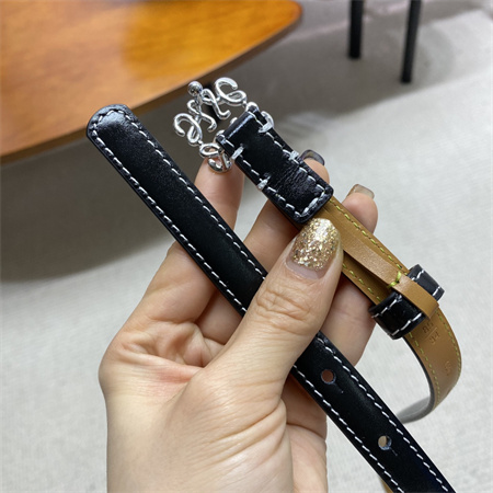 Loewe Belt In Calfskin 15MM Silver Hardware Black/Brown