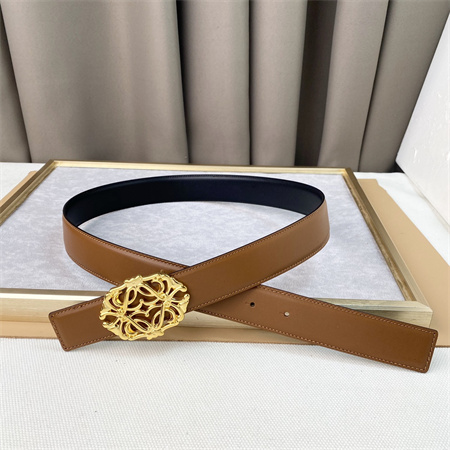 Loewe Belt In Calfskin 30MM Gold Hardware Black/Brown