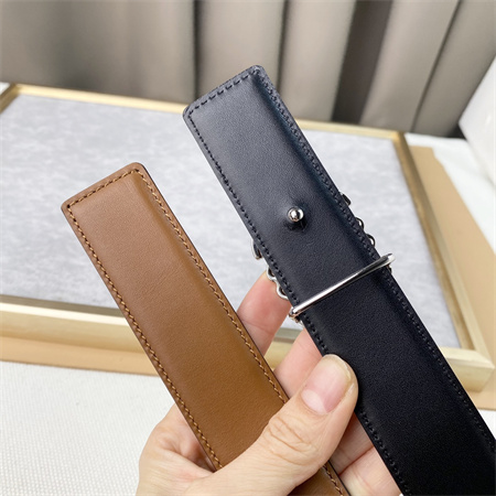 Loewe Belt In Calfskin 30MM Silver Hardware Brown/Black