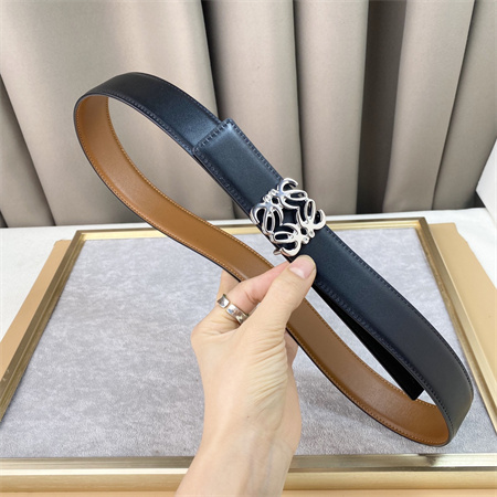 Loewe Belt In Calfskin 30MM Silver Hardware Brown/Black