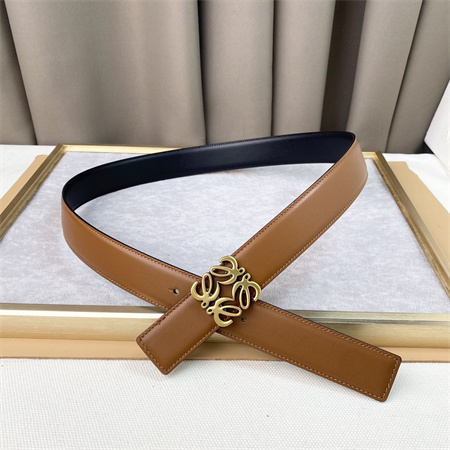 Loewe Belt In Calfskin 30MM Gold Hardware Brown/Black