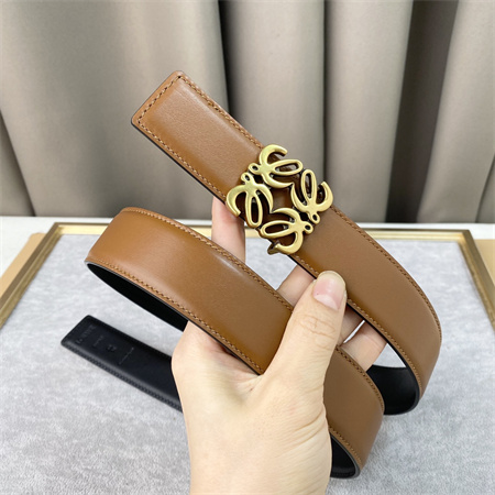 Loewe Belt In Calfskin 30MM Gold Hardware Brown/Black