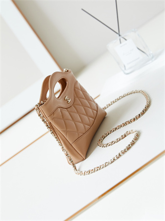 Cha.nel 31 Nano Chain Bag Lambskin Gold Tone Metal Brown AS3656