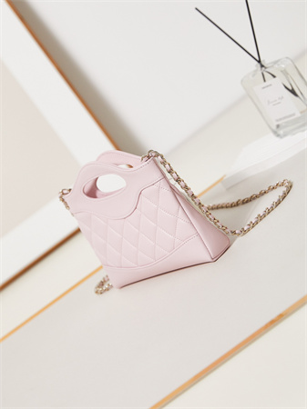 Cha.nel 31 Nano Chain Bag Lambskin Gold Tone Metal Pink AS3656