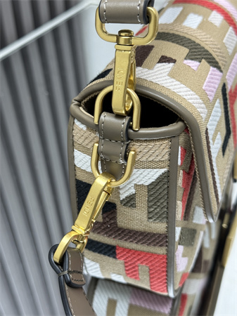 Fen.di Baguette Multicolor FF Canvas Bag