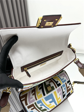 Fen.di Baguette Multicolor FF Canvas Bag