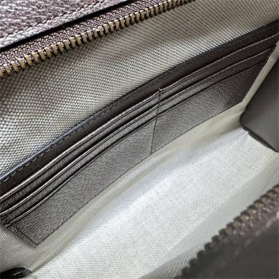 Gu.cci Ophidia Pouch Supreme Canvas 760243