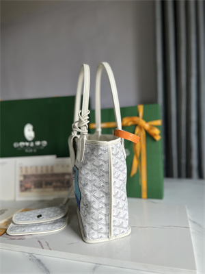 Goyard Anjou Mini Bag Chevroches Calfskin & Goyardine Canvas