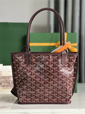 Goyard Anjou Mini Bag Chevroches Calfskin & Goyardine Canvas