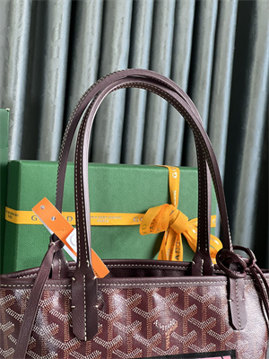 Goyard Anjou Mini Bag Chevroches Calfskin & Goyardine Canvas