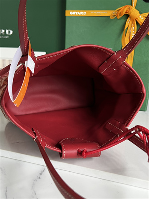 Goyard Anjou Mini Bag Chevroches Calfskin & Goyardine Canvas