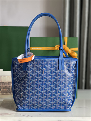 Goyard Anjou Mini Bag Chevroches Calfskin & Goyardine Canvas