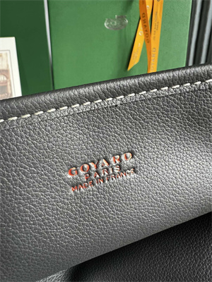 Goyard Anjou Mini Bag Chevroches Calfskin & Goyardine Canvas