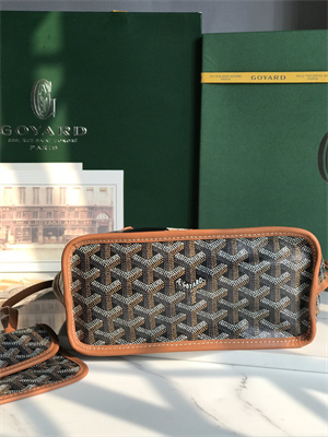 Goyard Anjou Mini Bag Chevroches Calfskin & Goyardine Canvas