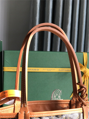 Goyard Anjou Mini Bag Chevroches Calfskin & Goyardine Canvas