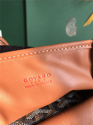 Goyard Anjou Mini Bag Chevroches Calfskin & Goyardine Canvas