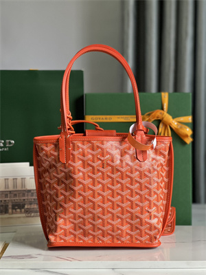 Goyard Anjou Mini Bag Chevroches Calfskin & Goyardine Canvas