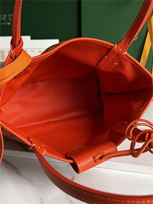 Goyard Anjou Mini Bag Chevroches Calfskin & Goyardine Canvas