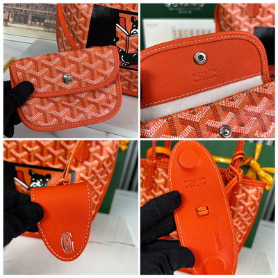 Goyard Anjou Mini Bag Chevroches Calfskin & Goyardine Canvas