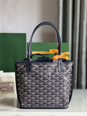 Goyard Anjou Mini Bag Chevroches Calfskin & Goyardine Canvas