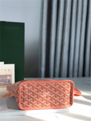 Goyard Anjou Mini Bag Chevroches Calfskin & Goyardine Canvas