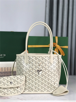 Goyard Anjou Mini Bag Chevroches Calfskin & Goyardine Canvas