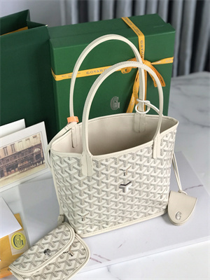 Goyard Anjou Mini Bag Chevroches Calfskin & Goyardine Canvas