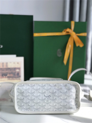 Goyard Anjou Mini Bag Chevroches Calfskin & Goyardine Canvas