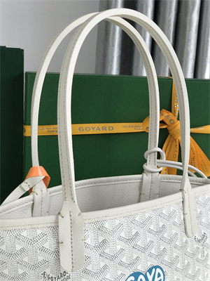 Goyard Anjou Mini Bag Chevroches Calfskin & Goyardine Canvas