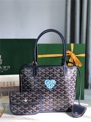 Goyard Anjou Mini Bag Chevroches Calfskin & Goyardine Canvas