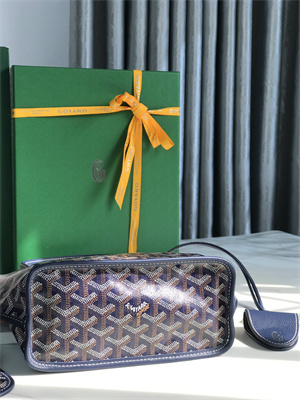 Goyard Anjou Mini Bag Chevroches Calfskin & Goyardine Canvas