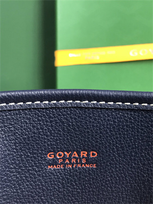 Goyard Anjou Mini Bag Chevroches Calfskin & Goyardine Canvas