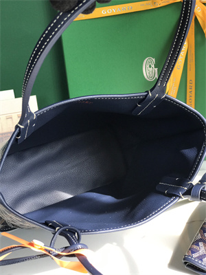 Goyard Anjou Mini Bag Chevroches Calfskin & Goyardine Canvas