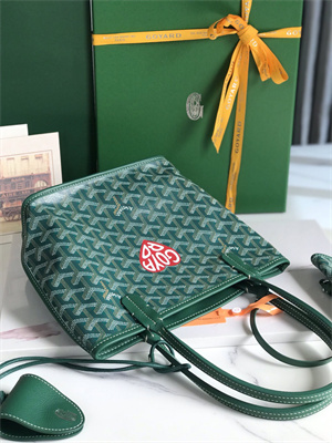 Goyard Anjou Mini Bag Chevroches Calfskin & Goyardine Canvas