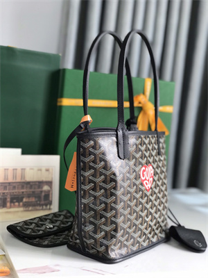 Goyard Anjou Mini Bag Chevroches Calfskin & Goyardine Canvas
