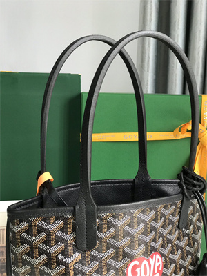 Goyard Anjou Mini Bag Chevroches Calfskin & Goyardine Canvas