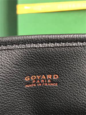 Goyard Anjou Mini Bag Chevroches Calfskin & Goyardine Canvas