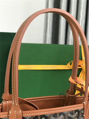 Goyard Anjou Mini Bag Chevroches Calfskin & Goyardine Canvas