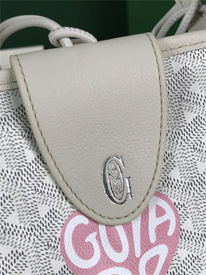 Goyard Anjou Mini Bag Chevroches Calfskin & Goyardine Canvas