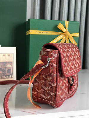 Goyard Grand Bleu PM Shoulder Bag Goyardine Canvas &  Calfskin