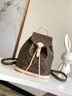 LV Montsouris PM Backpack Monogram Canvas M11198