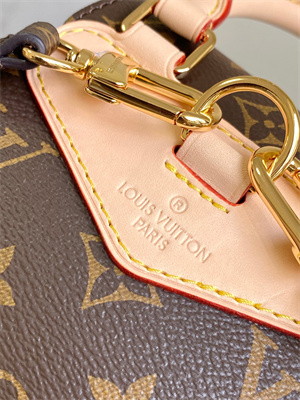 LV Montsouris Mini backpack Monogram Canvas M11199