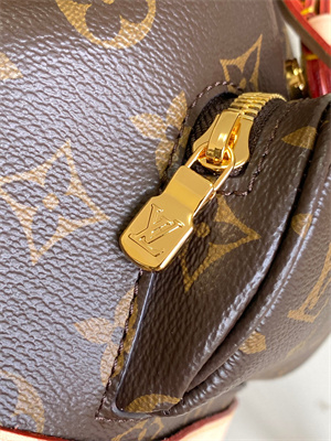 LV Montsouris Mini backpack Monogram Canvas M11199