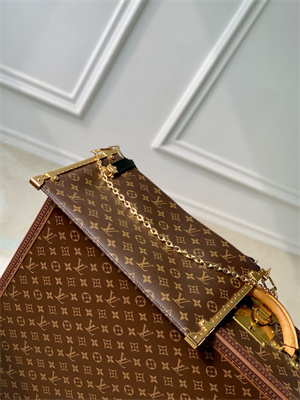 lV Lucky Trunk Monogram Coated canvas M12075