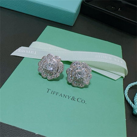 Tiffany Earring 36487