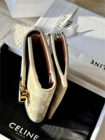 Celine COMPACT WALLET WITH COIN In TRIOMPHE Canvas